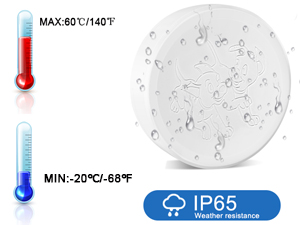 详情Detail-23 详情Detail-23