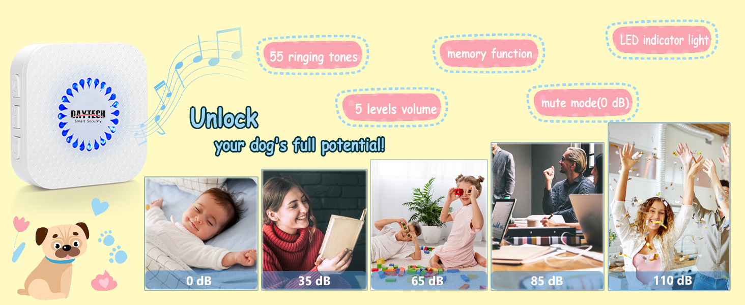 详情Detail-21 详情Detail-21