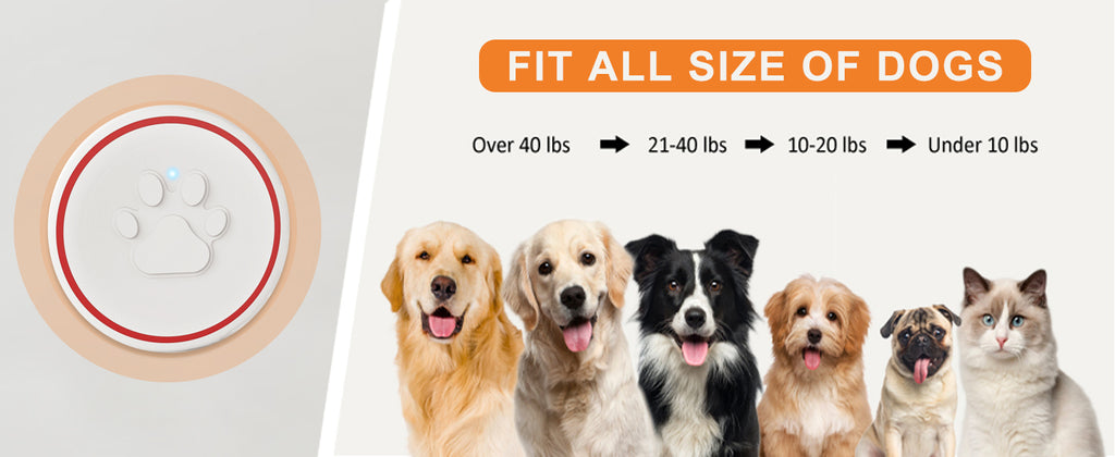 Detail-20_d3b47a0b-6661-443c-8225-c72c6d324616_1024x1024