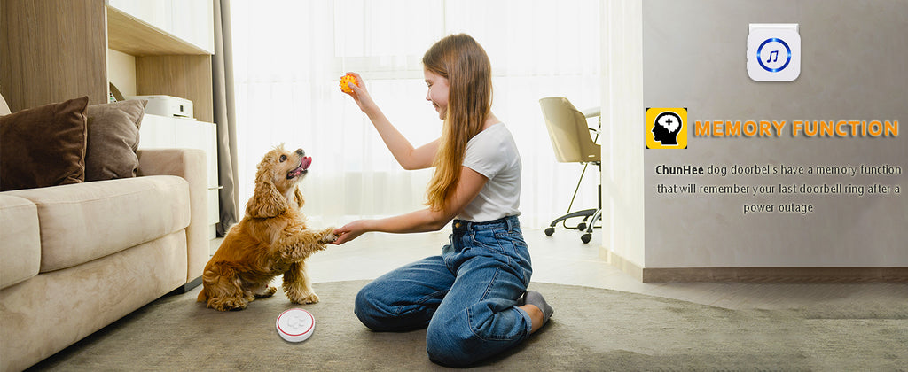 Detail-18_8b6070d4-ad62-48f4-baeb-ccfb1653375b_1024x1024