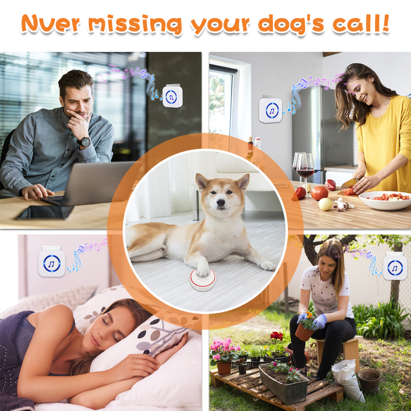 Daytech CB19 pet doorbell wireless door chime flash plug doorbell pet