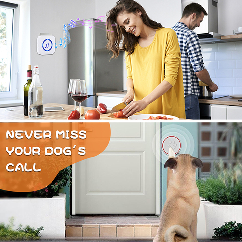 Daytech 300m distance dog touch wireless door bell LED digital display