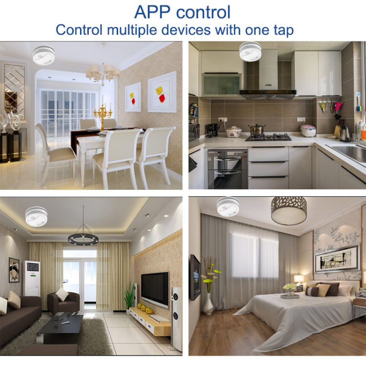 DAYTECH SM10 Wireless Smoke Detector With WIFI Fire Alarm Sensor Security System Tuya APP